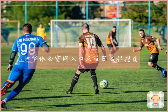 华体会官网入口及注册流程指南