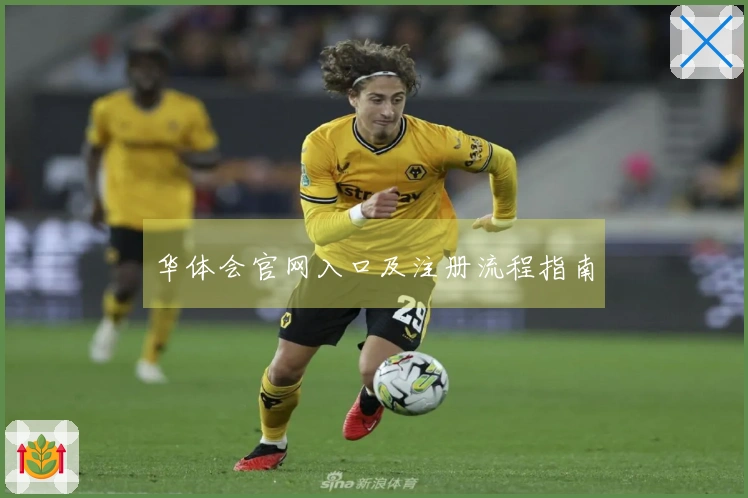 华体会官网入口及注册流程指南